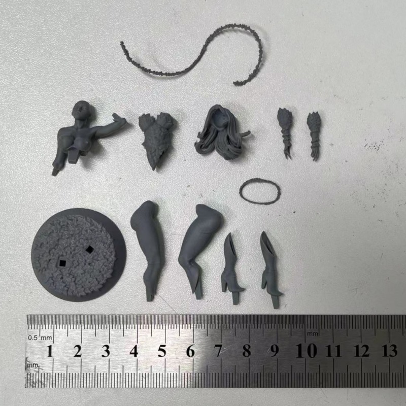 1/24 Scale Forest Queen Scienc – Science Hobby Kit Bewertung und Preis