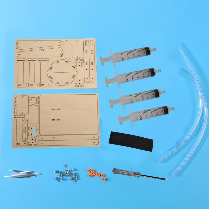 Fun STEM DIY Science Kit Woode – Science Hobby Kit Bewertung und Preis