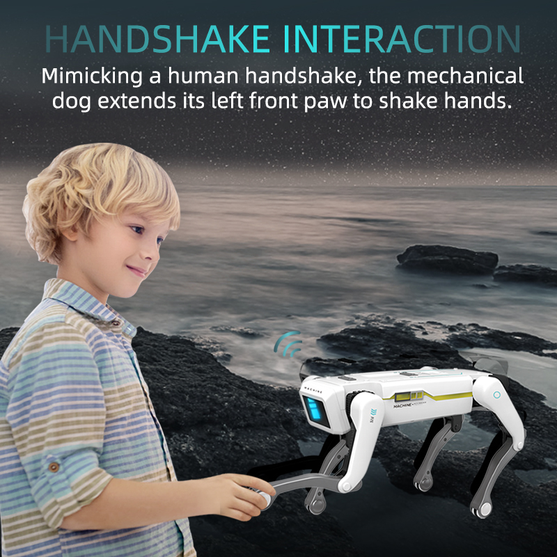 Teeggi Electric RC Intelligent – Science Robotics Bewertung und Preis