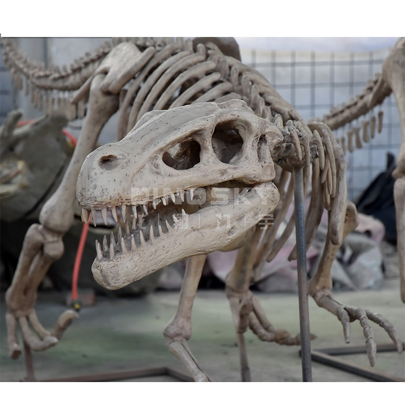 ATV&UTVResin Raptor Skeleton F – Science Exhibition Models Bewertung und Preis