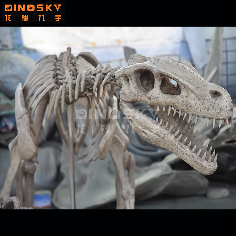 ATV&UTVResin Raptor Skeleton F – Science Exhibition Models Bewertung und Preis